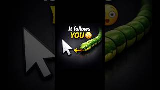 Made a snake that follows your cursor 🐍Built with HTML, CSS & JavaScript💻 #coding #webdev #techreels