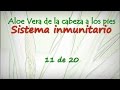 Aloe Vera de la cabeza a los pies 11 de 20. Sistema inmunitario