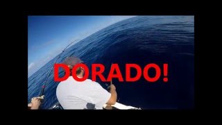 On Board the Fully Loaded,with a newbie Catching a few Dorado Sept 2015