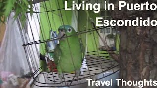 Living in Puerto Escondido