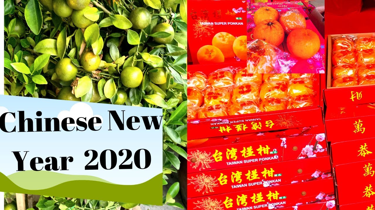 Chinese New Year Festival 2020=Brother durian ss2 Petaling jaya