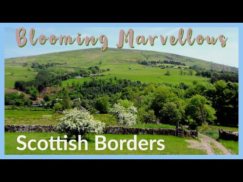 Walking In Dumfries & Galloway | Wrae Hill & Potholm Hill | A Short Stroll From Langholm