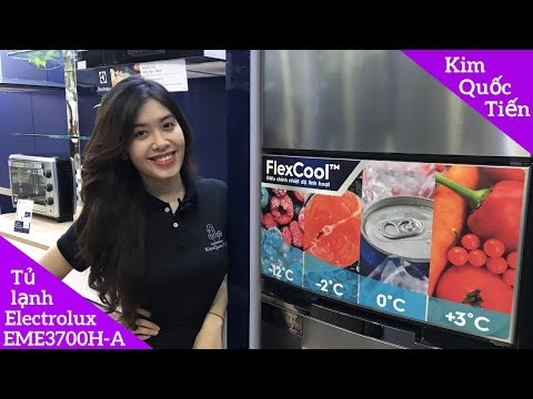 Tủ lạnh Electrolux EME3700H-A giá thành siêu tốt