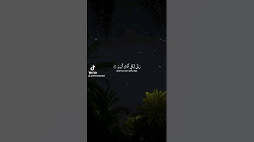 وَيْلٌ لِّكُلِّ أَفَّاكٍ أَثِيمٍ #سورة_الجاثية #ياسر_الدوسري #قرآن #quran #fyp #لايك  #تلاوة_خاشعة
