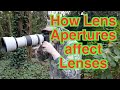 Photography Exposure triangle School Lesson/How aperture affects lenses/ISO/Aperture/shutter speed