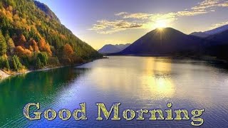 Feel Music | Mood Refresh Music | Lovely Music | Good Morning Music | Music Akash || screenshot 1