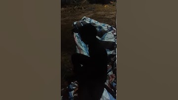 Già làng lộc hòa đây mọi người 😄