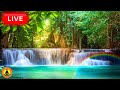 🔴 Relaxing Music 24/7, Stress Relief Music, Sleep Music, Meditation Music, Study, Nature Sounds