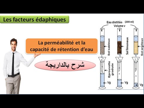 Vidéo: Quels facteurs affectent la porosité et la perméabilité ?