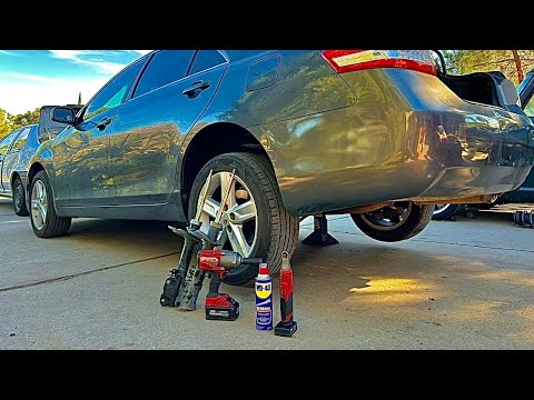 2x Rear Left & Right Suspension Shock Absorber for Toyota Avalon 2019