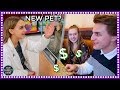 PAYING BLAKE TO DO WEIRD THINGS & NEW PET SHOPPING!