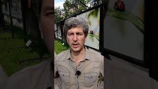 Марк Гальперин в поддержку Ивана Белецкого по поводу покушения на убийство в Киеве