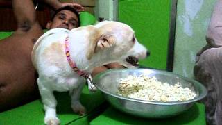 Imagem 602.avi