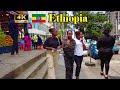      addis ababa walking tour 540 meskel flower   ethiopia 4k