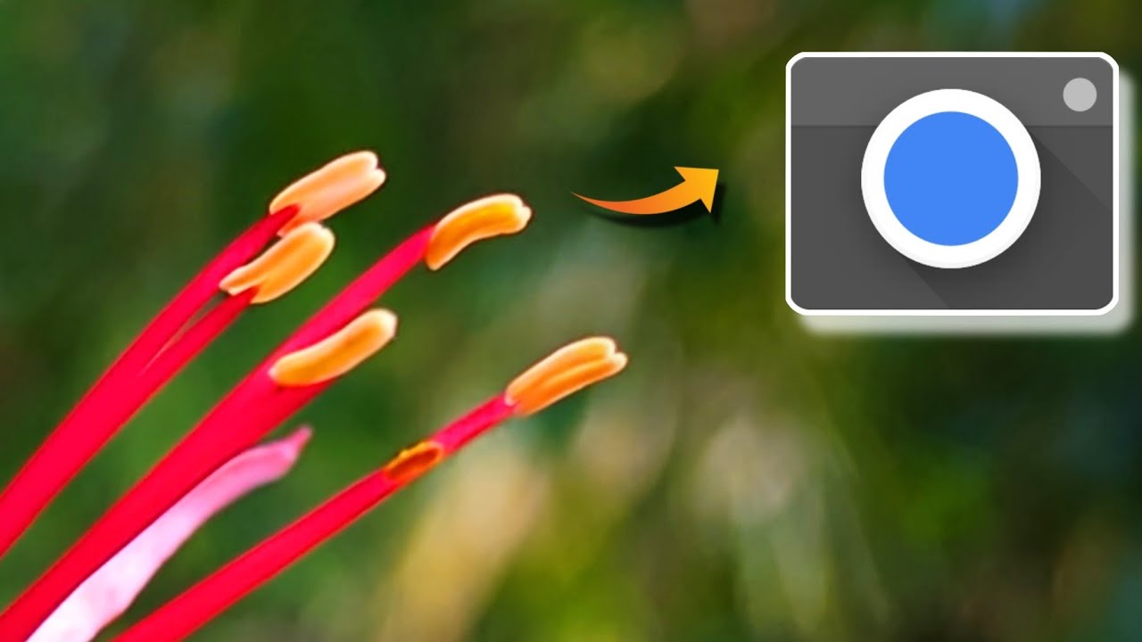 Latest Gcam 8.8 v⁹ - by BSG  || Best Gcam For Your Phone ! Take DSLR Quality Photos 🔥.