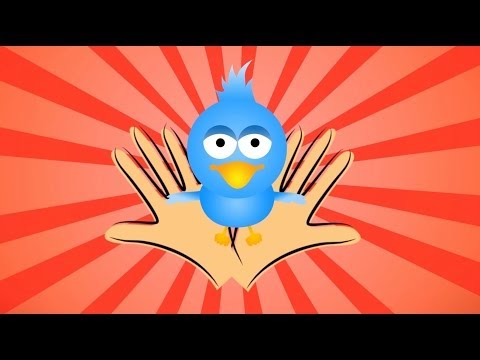 Mini Mini Bir Kuş - Çocuk Şarkısı
