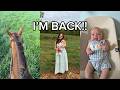 IM BACK!! 10 weeks postpartum, riding horses again, vet school, + horse update