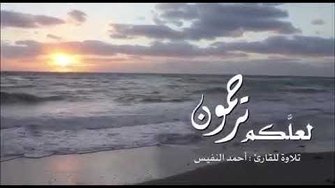 القارئ احمد النفيس اجمل حالات واتس اب قران🌿حالات قران مؤثرة 🌿حالات دينية مقاطع قصيره