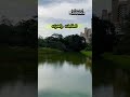 نقاء القلب تصوير بوداؤود نقاء القلب تصوير بوداؤود