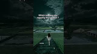 Which bed are you napping the hardest | which one is your vibe? #vibes #aesthetic #nappingthehardest Profile