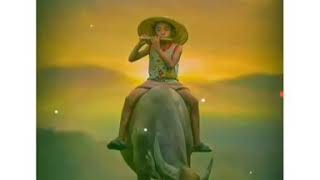 Flute Ringtone  Best Flute  Whatsapp Status  Instrumental Ringtone 