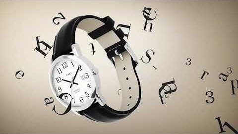 Timex Easy Reader Series - Men