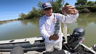 Trolling ARigs For Striped Bass (4K)