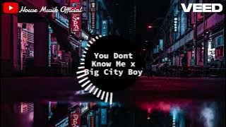 You don't know me x Big City Boy remix | RINV REMIX | Nhạc remix sôi động