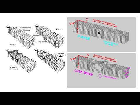 Video: Apa jenis gerakan yang dihasilkan oleh gelombang P dan S?