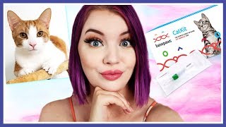 I Tried The Cat DNA Test From Shark Tank