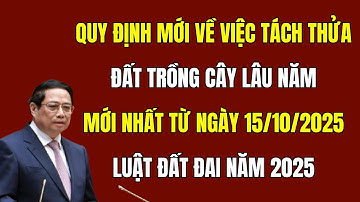 Quy Định Mới Về Tách Thửa Đất Trồng Cây Lâu Năm Từ Ngày 15/10/2025 - Luật Đất Đai 2025