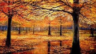 AUX COULEURS DE L'AUTOMNE screenshot 4