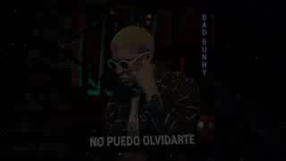 Bad Bunny - No Puedo Olvidarte