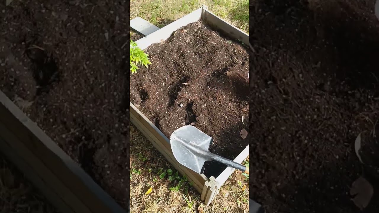 HUGE GROW UPDATE! GROWING OUTDOORS | 