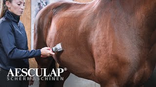 AESCULAP® Bonum Horse (#GT654-RO, GT656-RO, Battery Operated Clipper) by Aesculap Schermaschinen GmbH 2,291 views 2 years ago 1 minute, 14 seconds