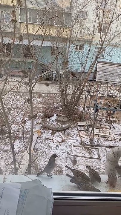 #якутия #якутск - YouTube