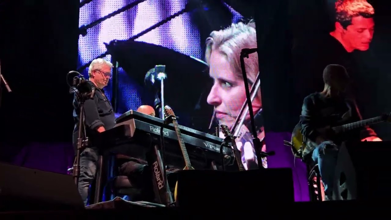 שדות של אירוסים | שלמה ארצי בשוני