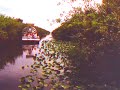 EXPERIENCE | Everlgades - Airboat ride in the Florida | Seat POV - VHS