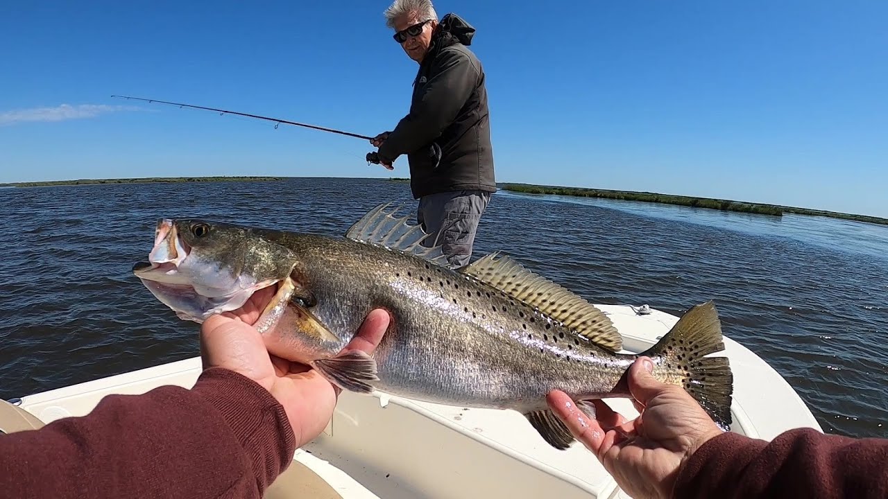 Speckled Trout limit Cisco and Dave Delacroix Louisiana YouTube