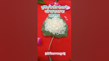 पूर्णिमा के दिन पीपल के पत्ते पर चावल का महा उपाय #panditpradeepmishraofficial #upay #purnima #viral