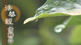 【靜思妙蓮華】法華經信解品 - 心相體信 入出無難 - 20210428 第788集