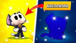 Бойцы Кит бесплатно! Откройте секрет в Brawl Stars!