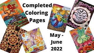 Completed Coloring Pages for May - June 2022 / Adult Coloring by Doodle Robot