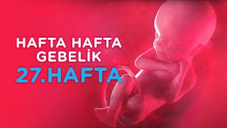 Hamilelikte 27. Hafta - Hafta Hafta Gebelik | İlk Adımlarım