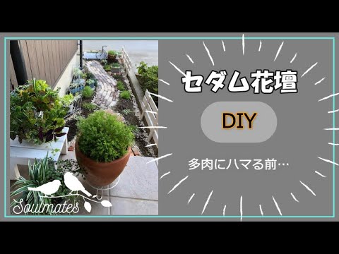 多肉植物 コンテスト受賞 セダム花壇diy 第６回ナンバｄｉｙ女子賞 Youtube