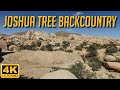Is this the BEST BACKCOUNTRY HIKE? - Joshua Tree National Park - Full Virtual Hike in 4K HD
