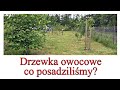 Drzewka owocowe w Szumilesie - co posadziliśmy?