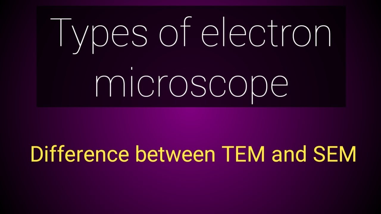 types of electron microscope | TEM and SEM | difference between tem and ...