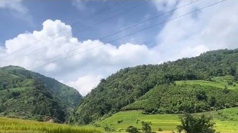 Ngăn dòng nước bắt cá suối 