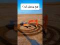 شوف بيعمل ايه 